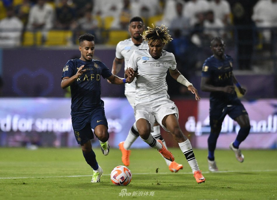 瑞士羽毛球 瑞士羽毛球